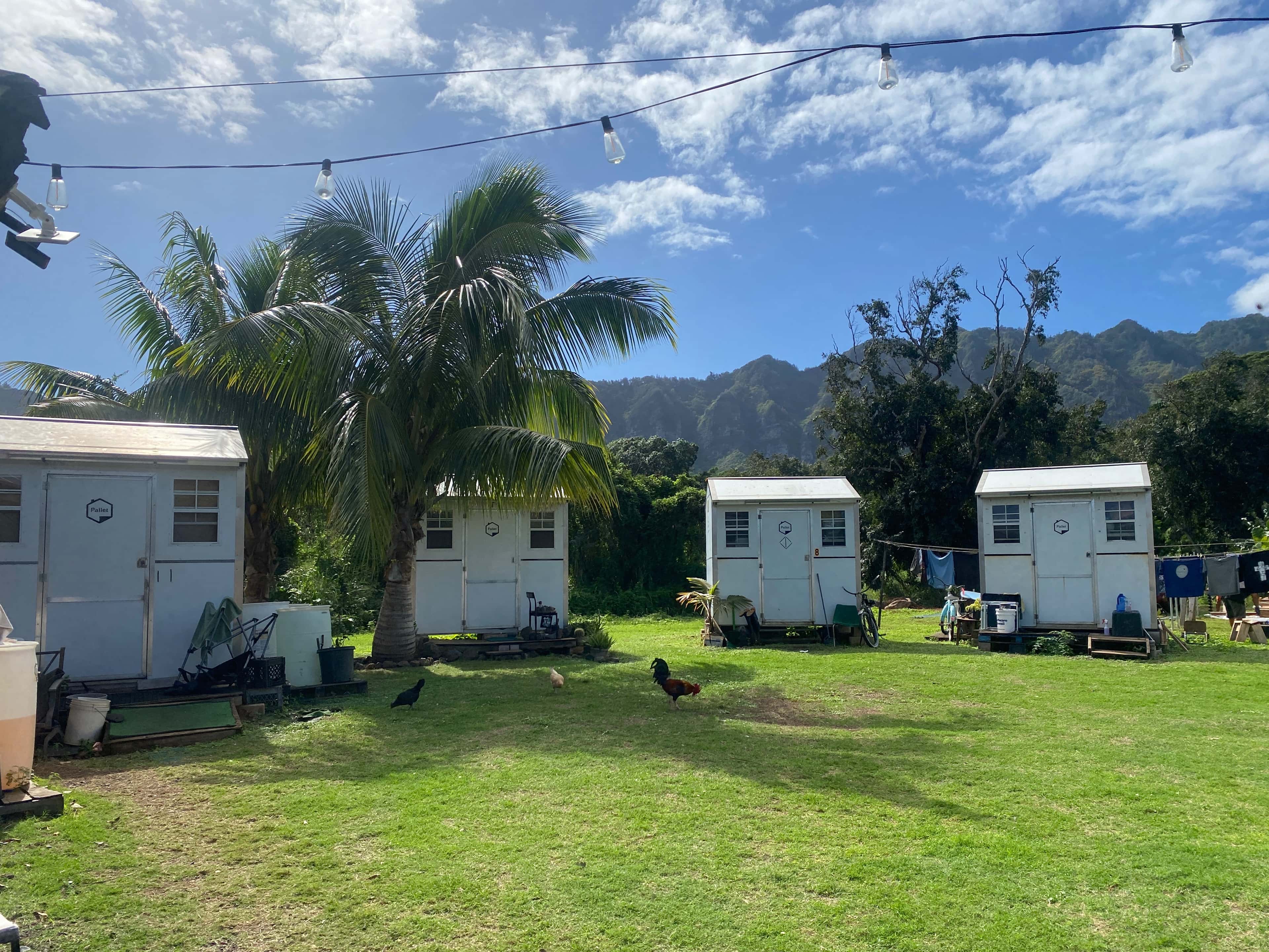 Community housing village with palm trees and mountains